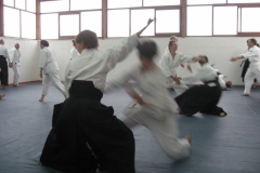 Aikido- & Hojo-Stage Praiano